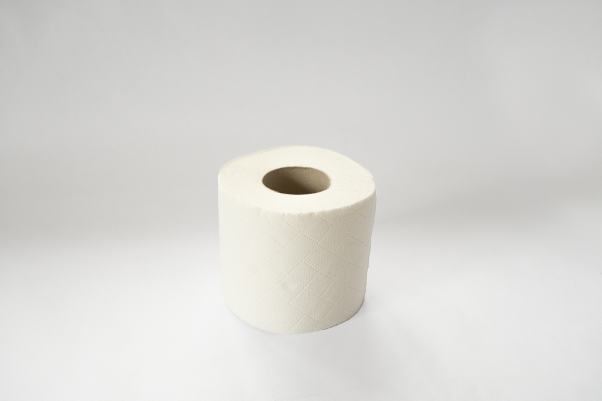 Toilet Paper - Roll x 1